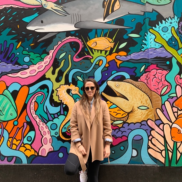 Meet your Posher, Shelby - Picture 1 of 1